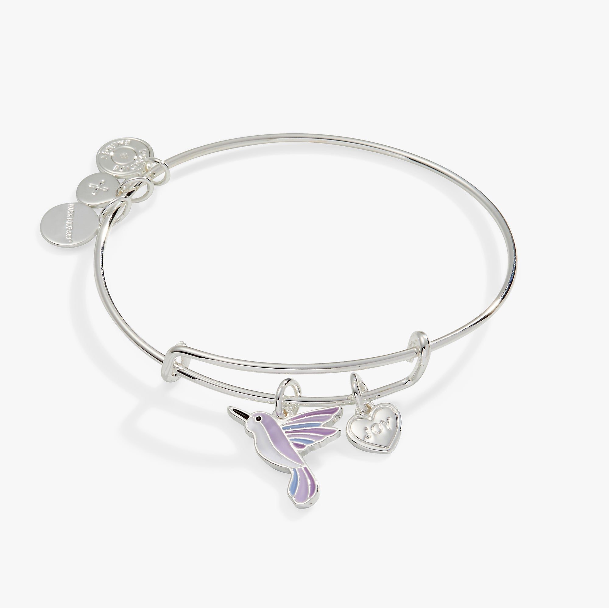 Image of 'Joy' Hummingbird Duo Charm Bangle Bracelet