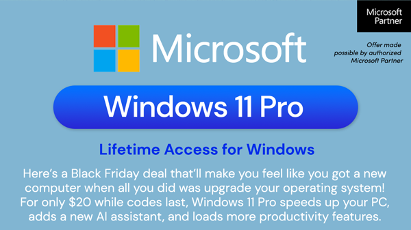 Microsoft Windows 11 Pro