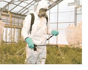 How to choose the right type of respirator