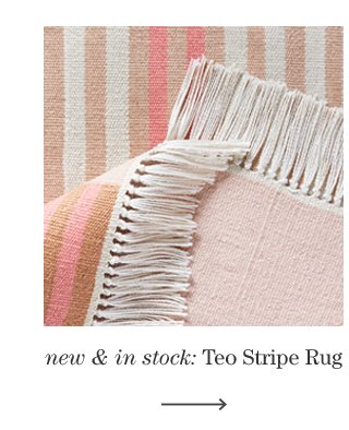 Teo Pink Stripe Colorblock Rug
