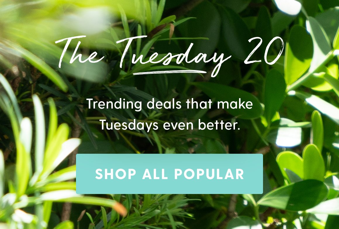 The Tuesday 20. Trending deals that make Tuesdays even better. Shop All Popular.