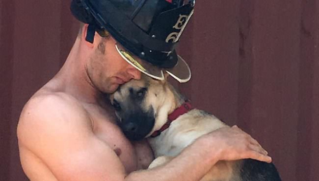 Firefighter Agrees To Adopt Veteran’s Dog He Bonded With At A Charity Photo Shoot