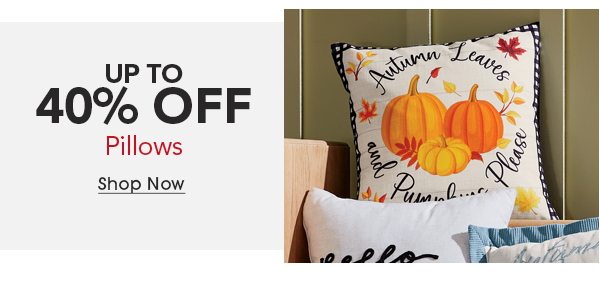 Up to 40% OFF Pillows Shop Now