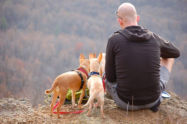 5 Ways To Tell If Your Dog Is Bonded To You