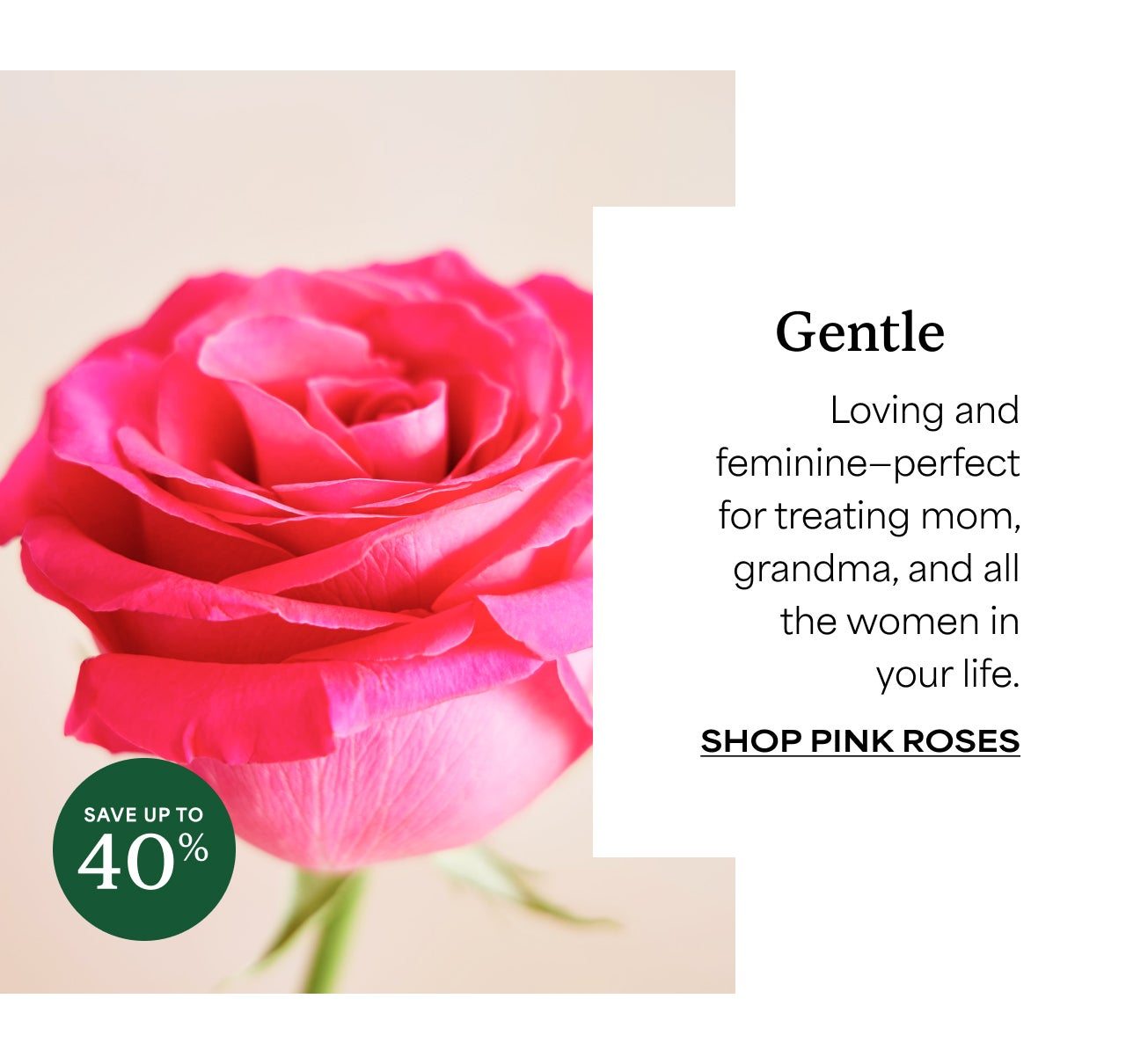 SHOP PINK ROSES