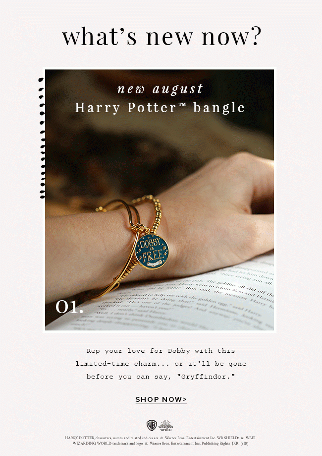 Shop the August Harry Potter bangle of the month, Dobby is Free.