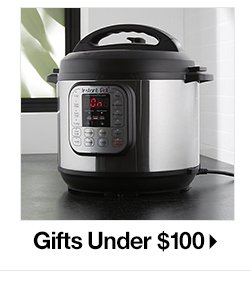 Gifts under $100