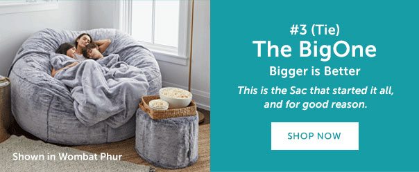#3 (Tie) The BigOne | Bigger is Better | This is the Sac that started it all, and for good reason. | SHOP NOW >>