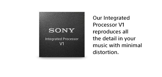 Our integrated Processor V1 reproduces all the detail in your music with minimal distortion.