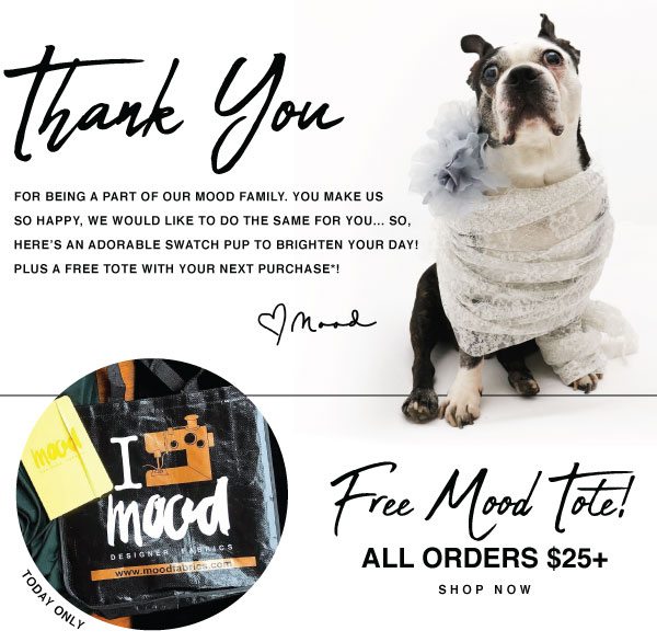 THANK YOU FOR SHOPPING MOOD! 