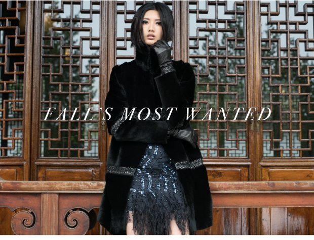 Fall's Most Wanted