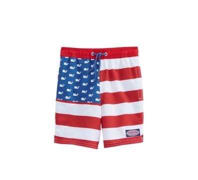 Boys USA Flag Chappy Trunks