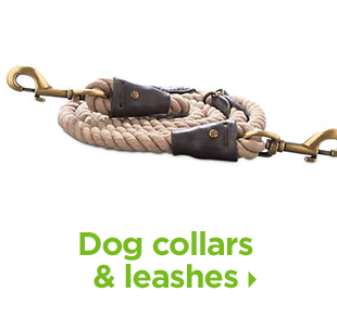 Dog collars & leashes.