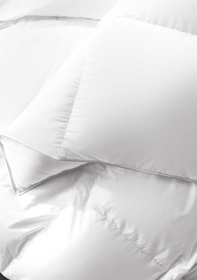 Wamsutta® Dream Zone® White Goose Down Comforter