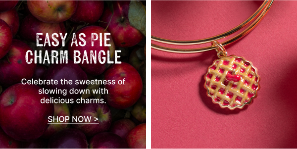 Easy as Pie Charm Bangle