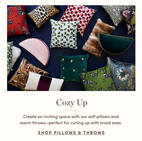 Shop Pillows and Throws