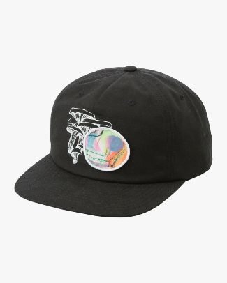 Sage Snapback Hat