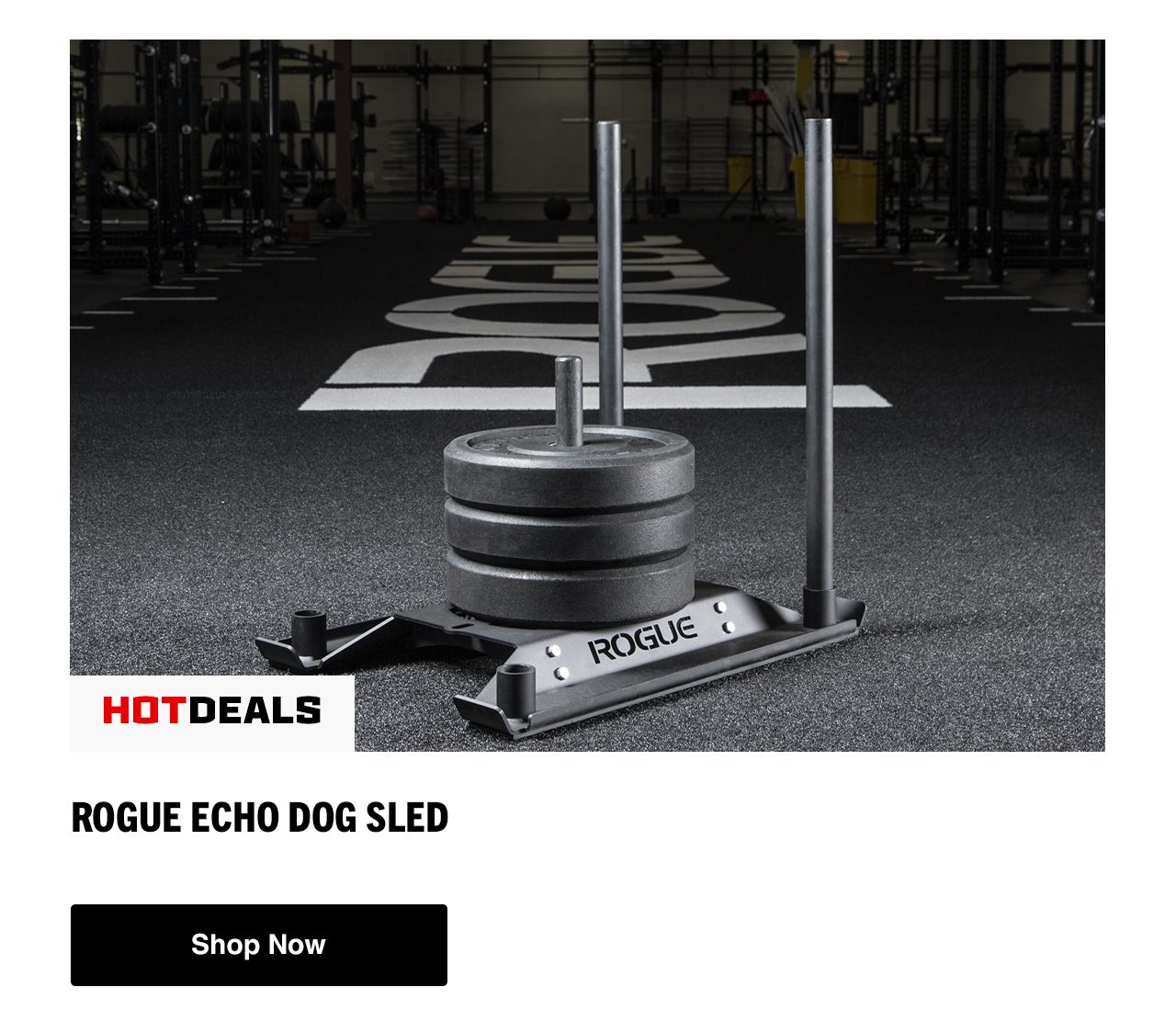 Rogue Echo Dog Sled