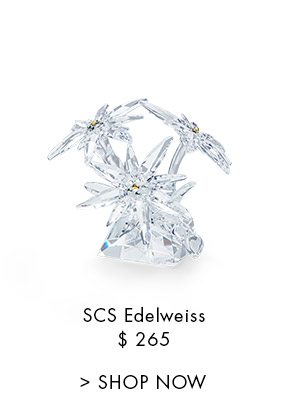 SCS Edelweiss