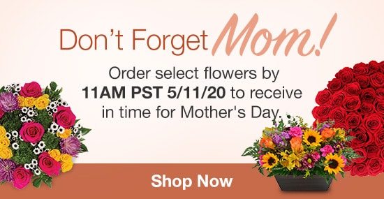 Gift Ideas for Mother's Day. While Supplies Last. Shop Now