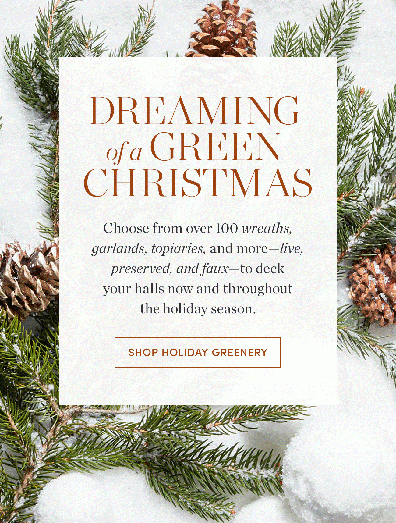 Dreaming of a Green Christmas - Shop Holiday Greenery