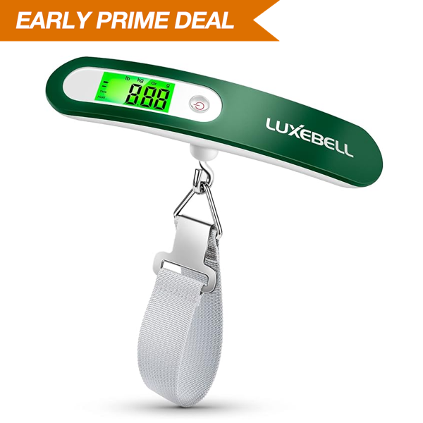 Digital Luggage Scale Gift for Traveler Suitcase Handheld Weight Scale 110lbs