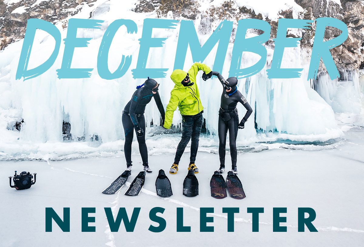 December Newsletter