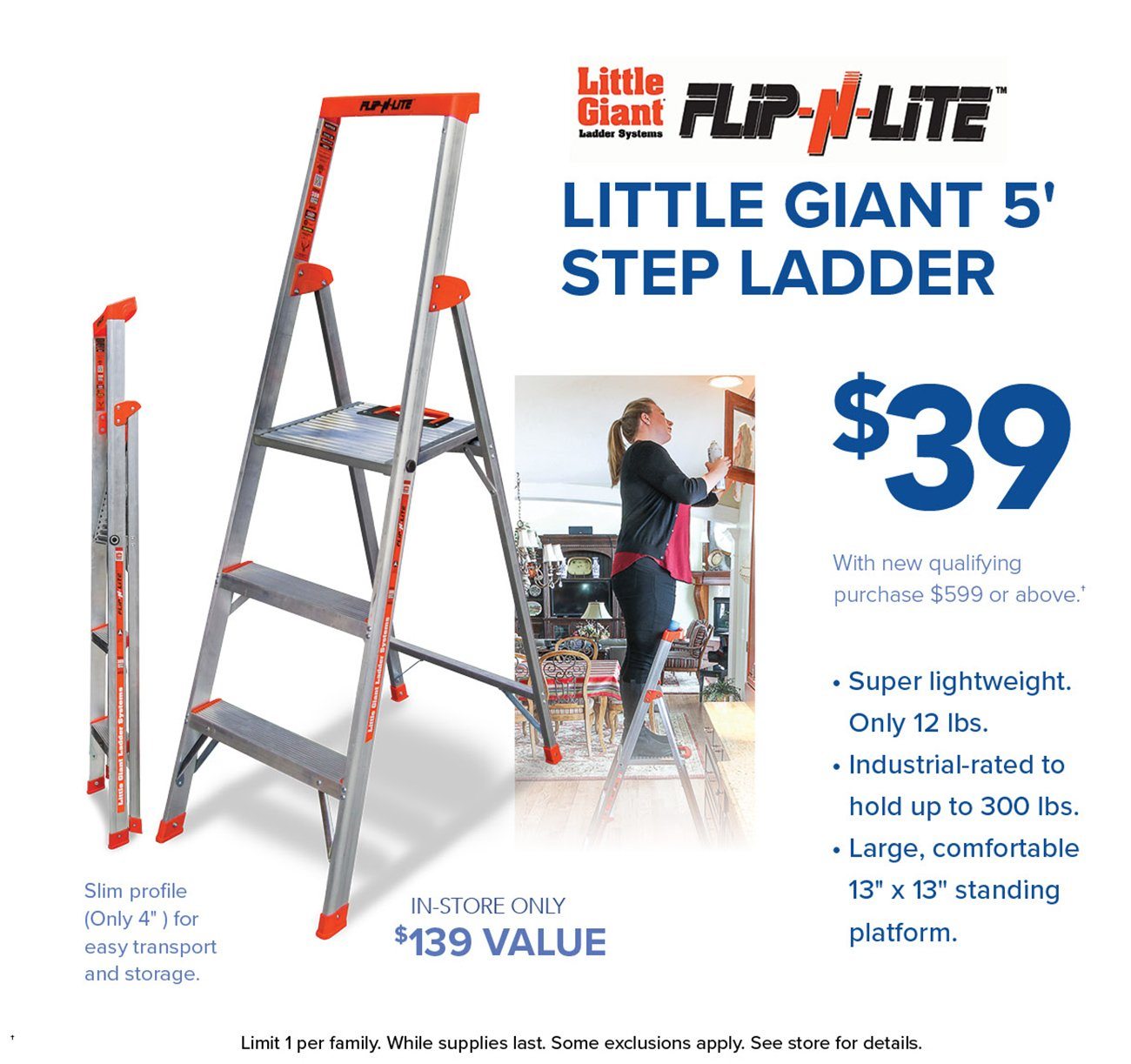 Little-giant-ladder
