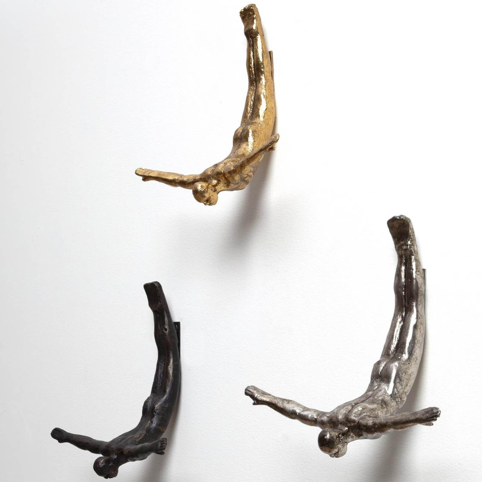 Image of Wall Diver
