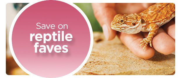 Save on reptile faves.