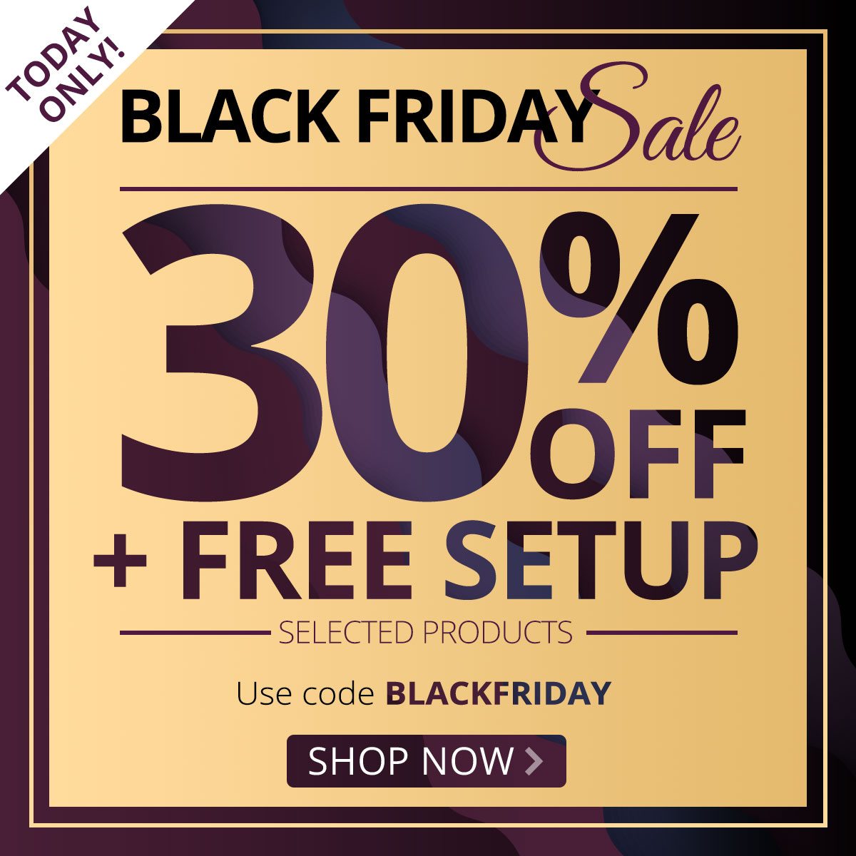 Today Only - Black Friday Sale 30% Off Plus FREE Setup!