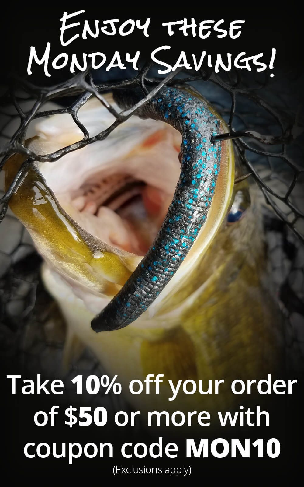 Take 10% off your order of $50 or more with coupon code: MON10
