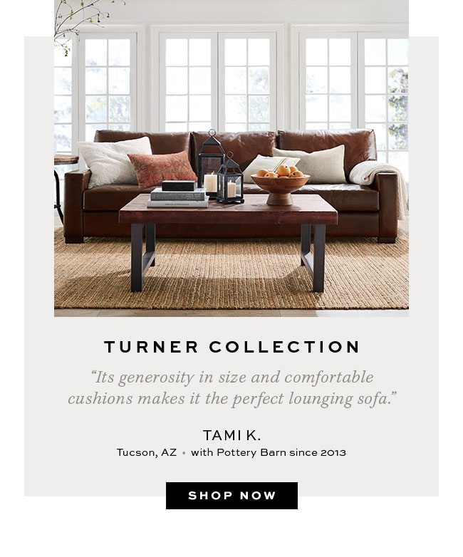 Up To 25 Off Everything Our Favorite Sofas Pottery Barn Email