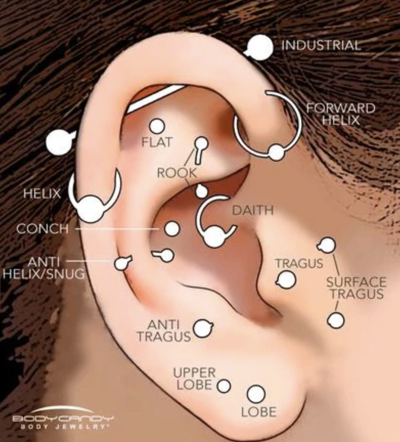 Cartilage Jewelry - What Style Can You Wear in Which Piercing?