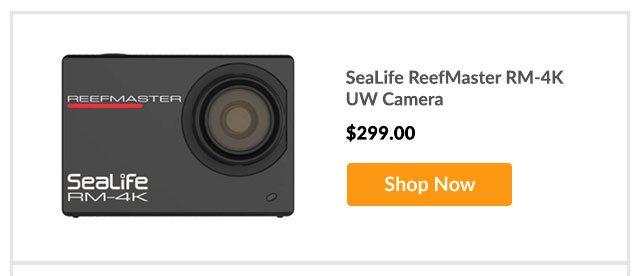SeaLife ReefMaster RM-4K UW Camera - Shop Now