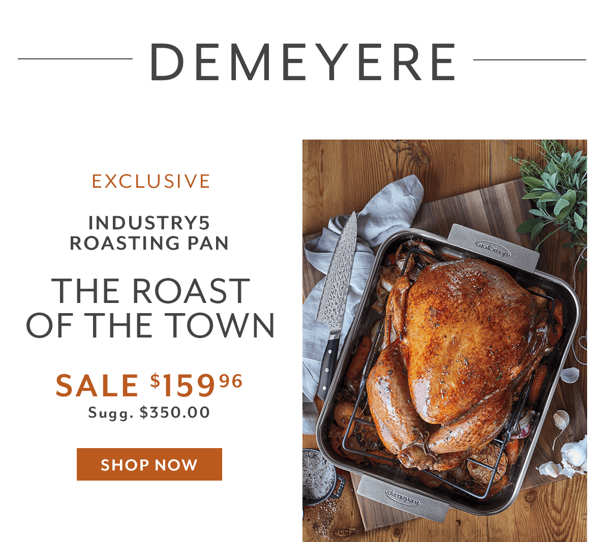 Demeyere Industry5 Roasting Pan