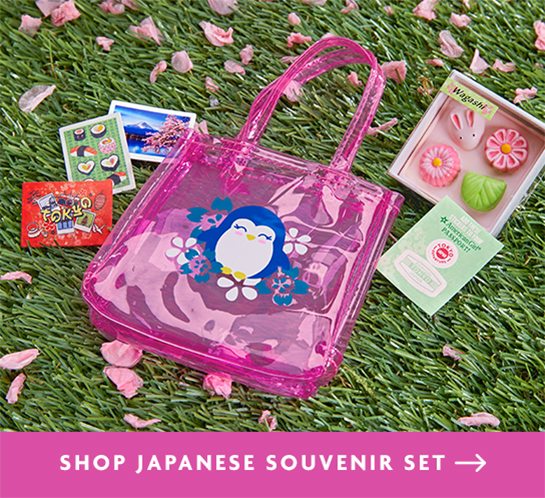 SHOP JAPANESE SOUVENIR SET