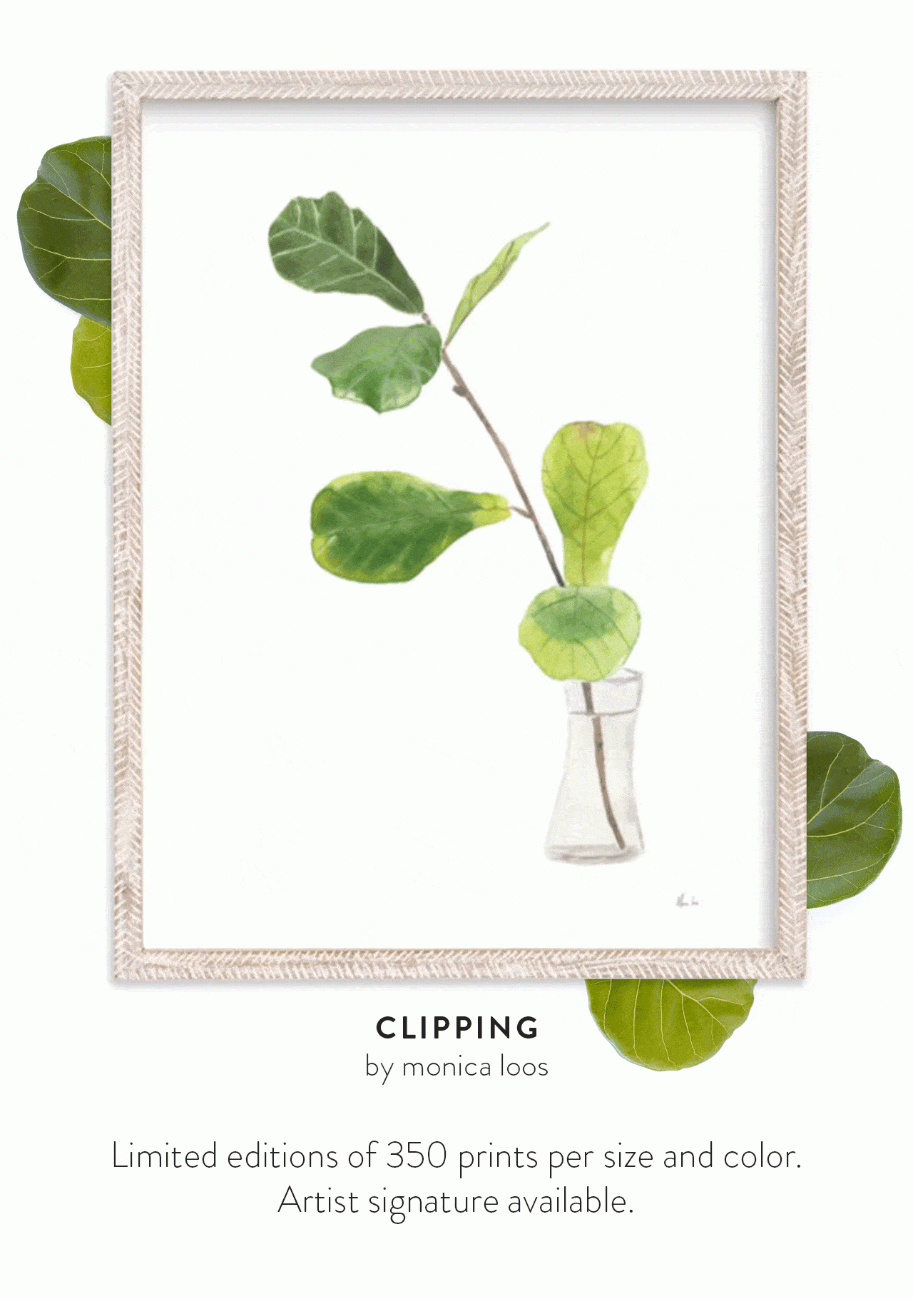 Clipping by Monica Loos