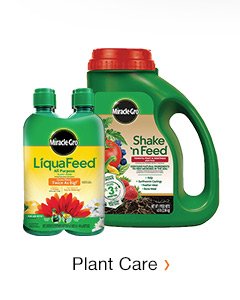 PLANT CARE