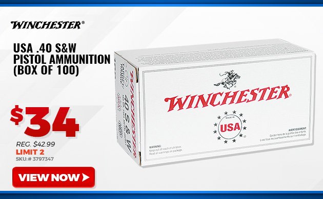 Winchester USA .40 S&W Pistol Ammunition (Box of 100)