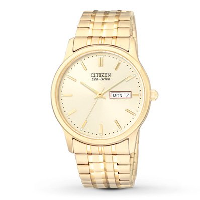 Citizen Mens Watch Eco-Drive Expansion BM8452-99P