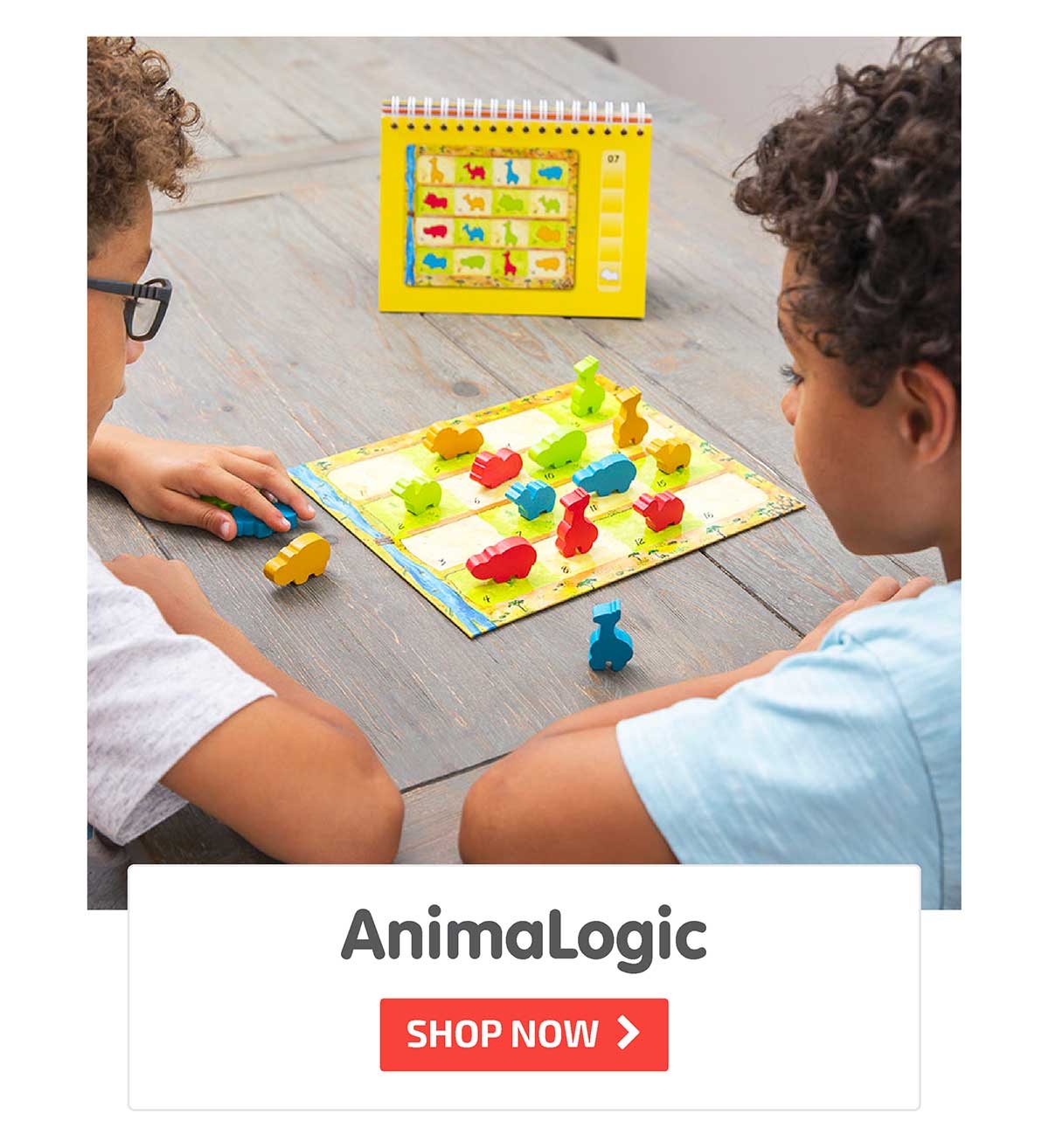 AnimaLogic