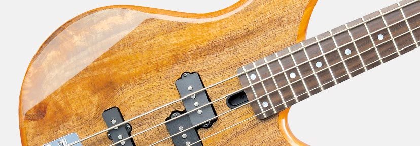 Basses