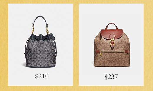 Shop Bags Under $250