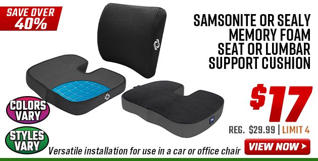 Samsonite or Sealy Memory Foam Seat or Lumbar Support Cushion