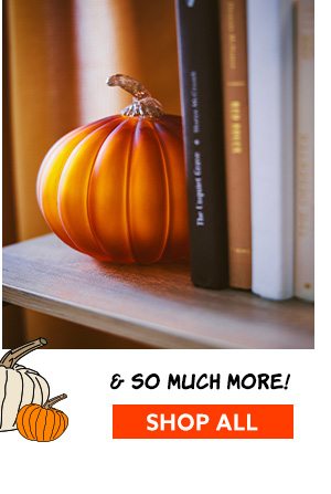 Shop All Fall Decor