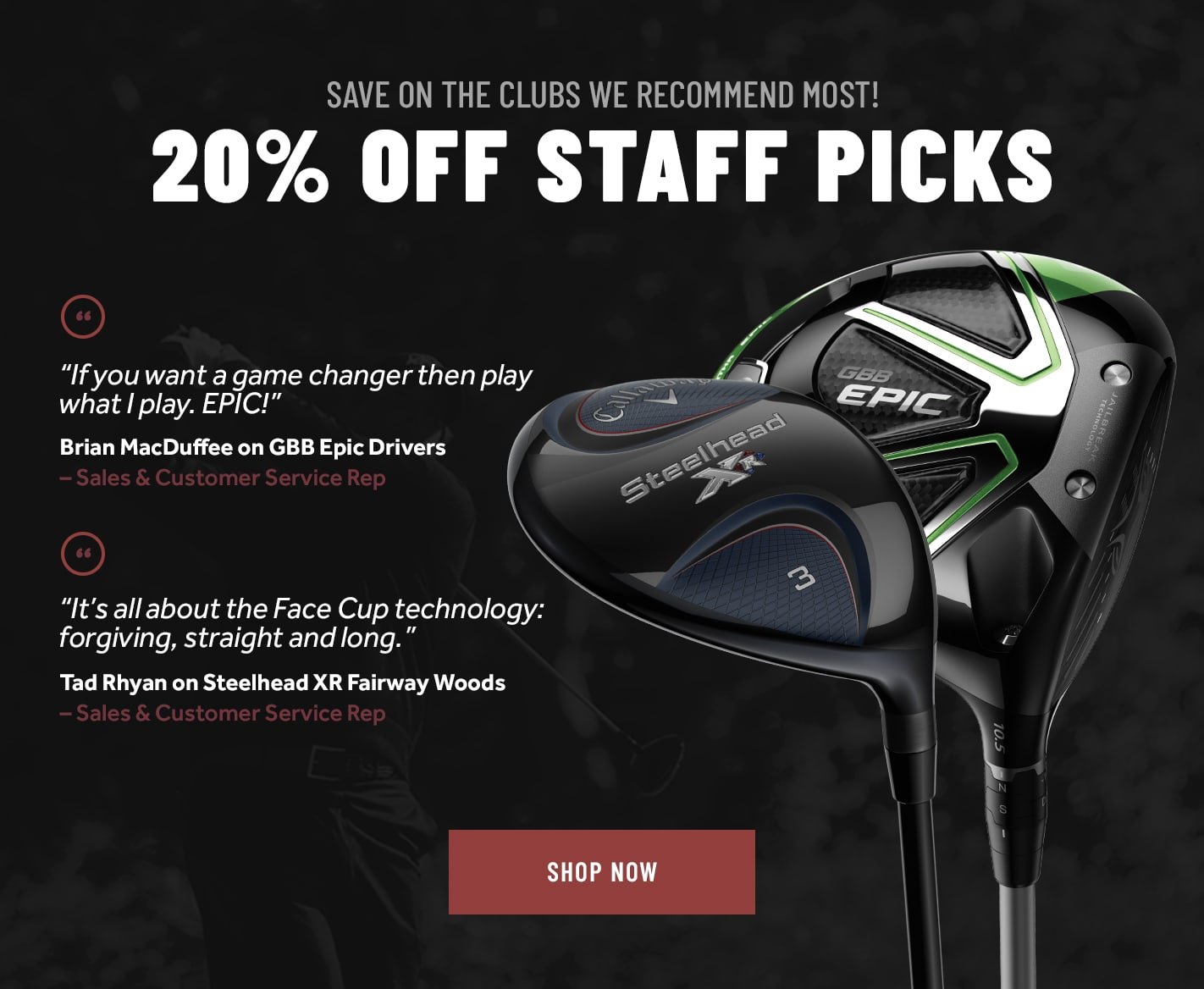 Save on the clubs we recommend most: 20% Off Staff Picks