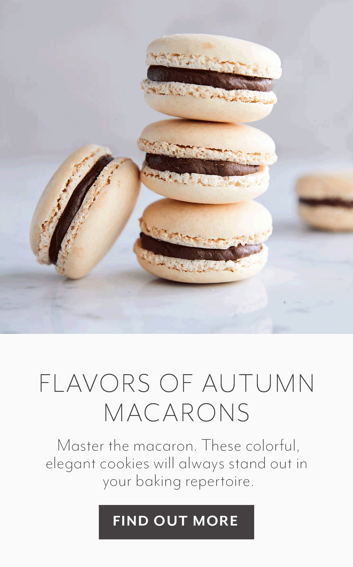 Flavors of Autumn Macarons