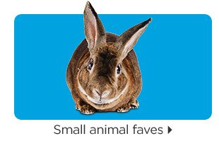 Small animal faves.