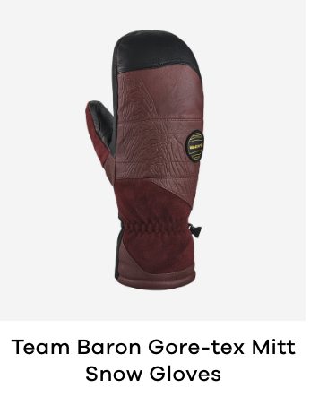 Dakine Team Baron Gore-tex Mitt Snow Gloves